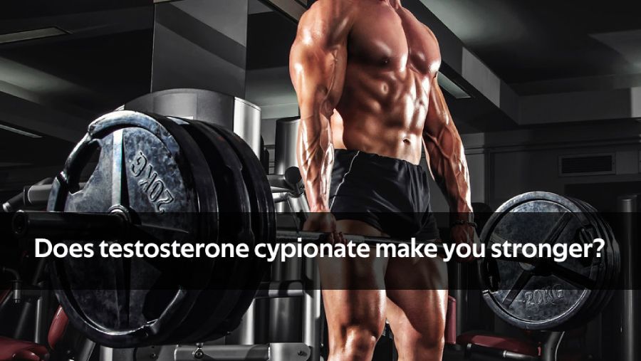 testosterone cypionate 300 mg for sale